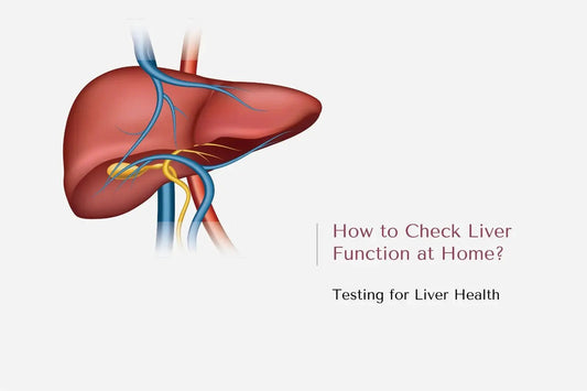 How to Check Liver Function at Home? Testing for Liver Health - The National Blood Test Clinic