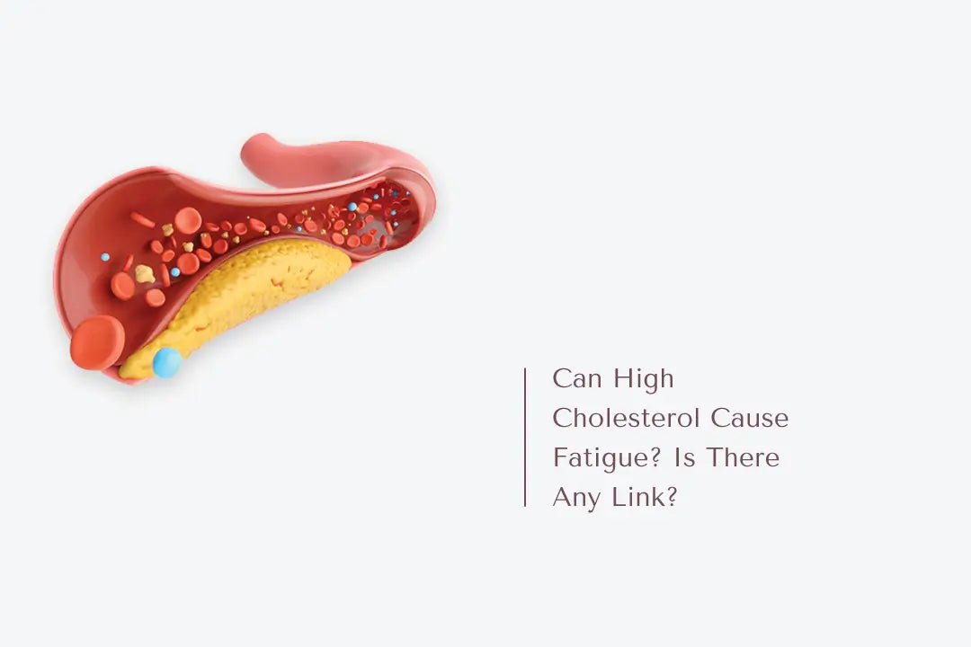 Can High Cholesterol Cause Fatigue? Is There Any Link? - The National Blood Test Clinic