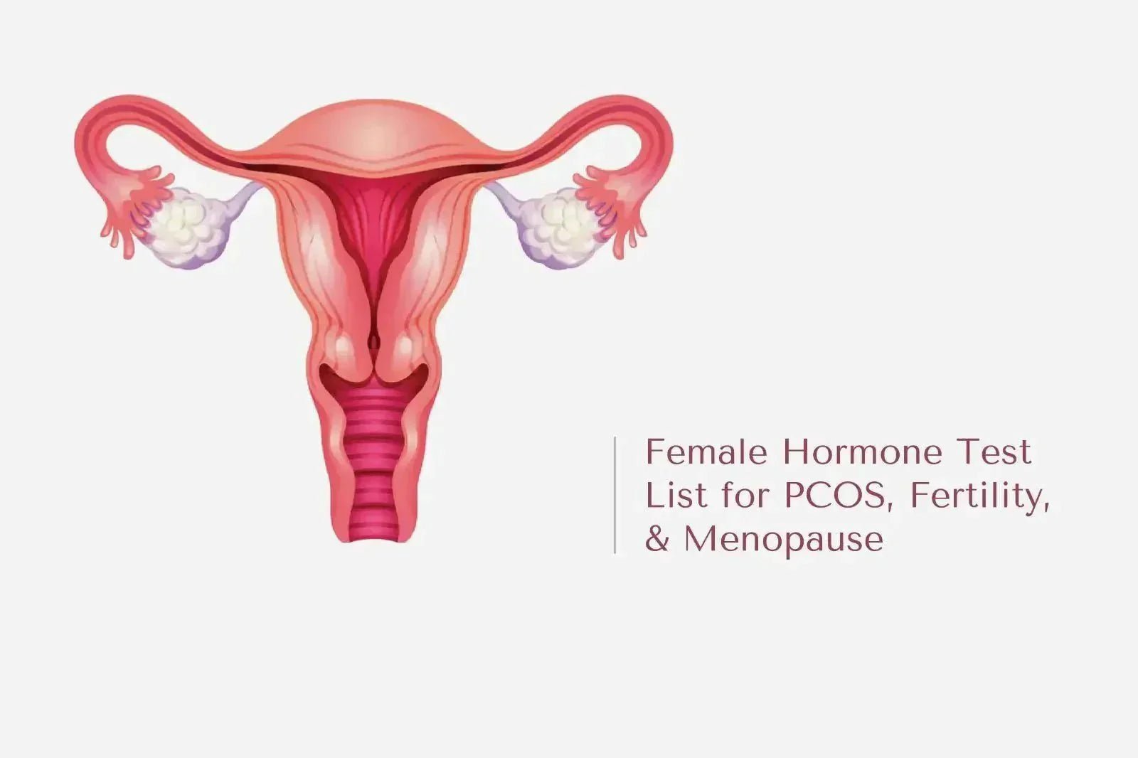 Female Hormone Test List for PCOS, Fertility, and Menopause – The ...
