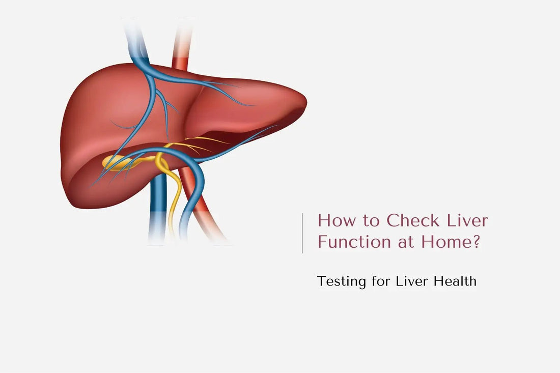 How to Check Liver Function at Home? Testing for Liver Health - The National Blood Test Clinic