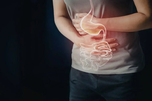 Who Can Benefit From a GI-Map Stool Analysis Test? A UK Guide - The National Blood Test Clinic