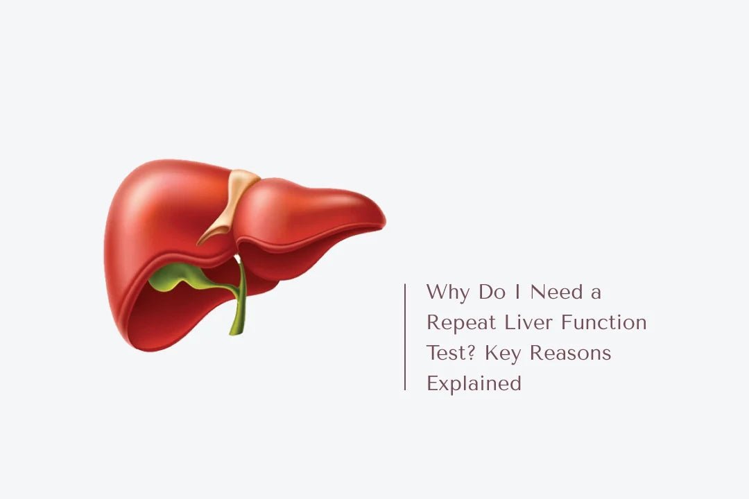 Why Do I Need a Repeat Liver Function Test? Key Reasons Explained - The National Blood Test Clinic